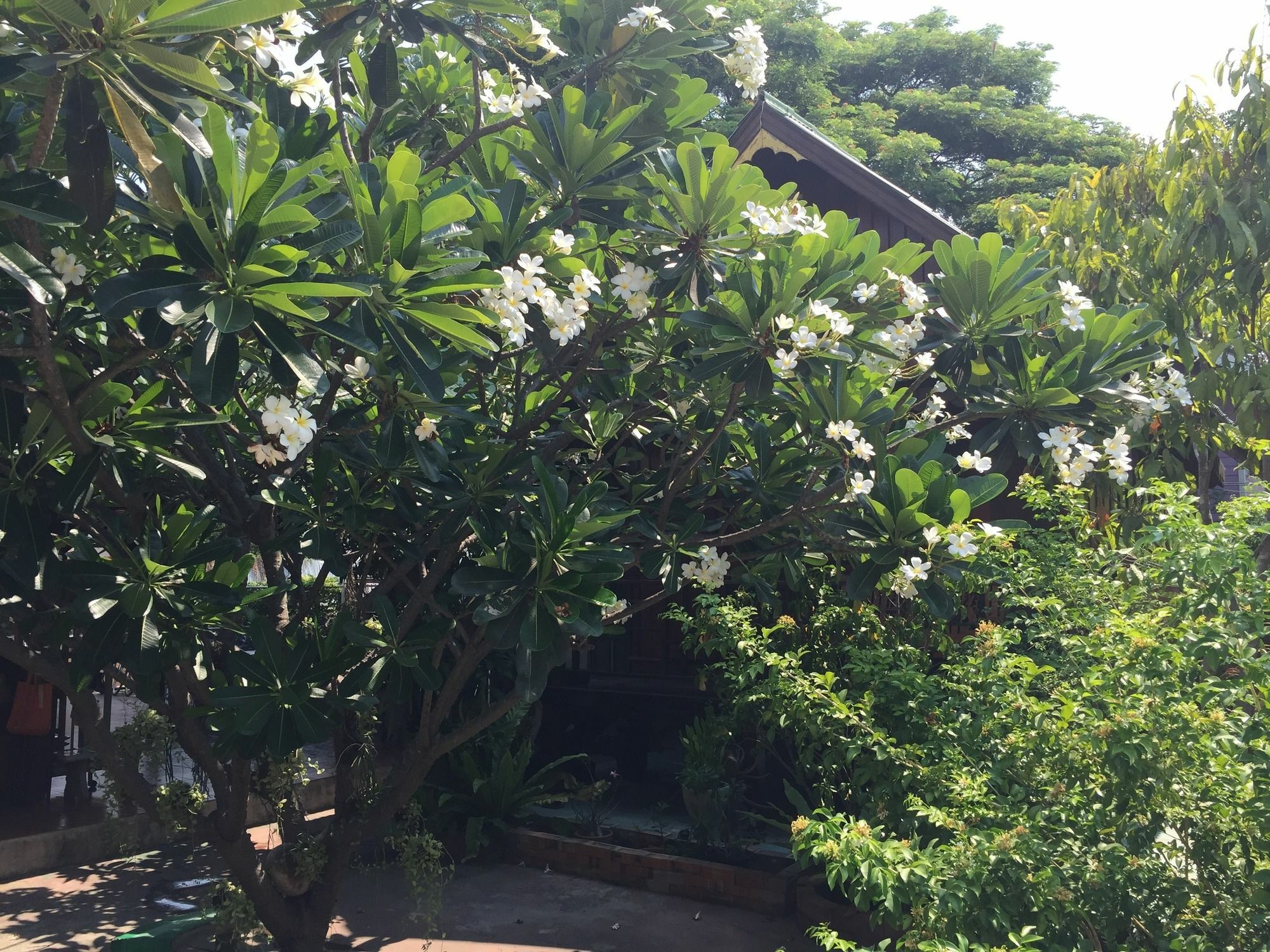 Baan Kong Homestay Phra Nakhon Si Ayutthaya Exterior photo